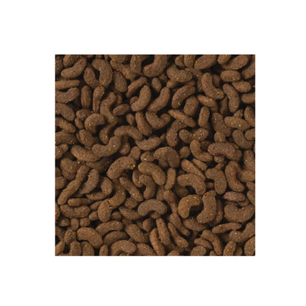 Tropifit All in 1 Hamster&Gerbil pašaras žiurkėnams ir smiltpelėms, 500 g