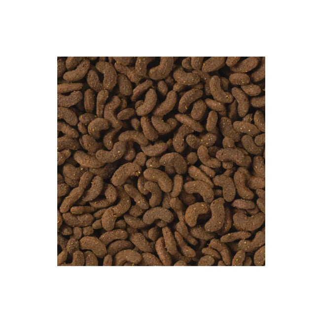 Tropifit All in 1 Hamster&Gerbil pašaras žiurkėnams ir smiltpelėms, 500 g