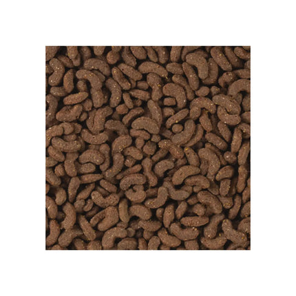 Tropifit All in 1 Rat&Mouse pašaras žiurkėms ir pelėms, 500 g