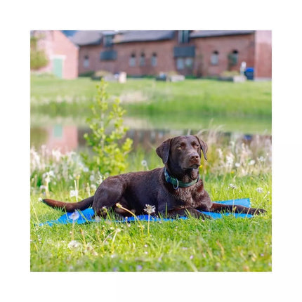 Vėsinantis kilimėlis, 110x70 cm