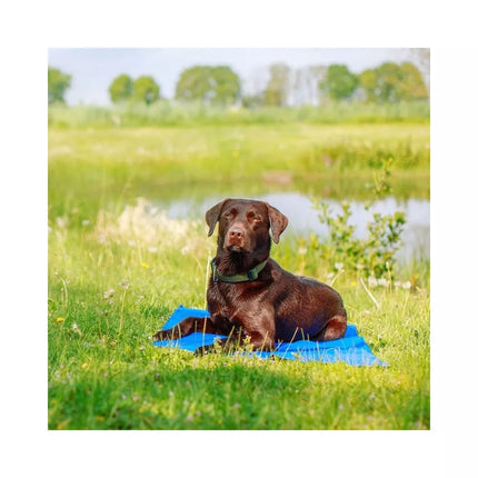 Vėsinantis kilimėlis šunims Ice XL, 110x70 cm