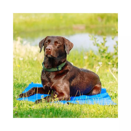 Vėsinantis kilimėlis šunims Ice XL, 110x70 cm