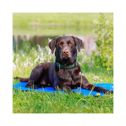 Vėsinantis kilimėlis šunims Ice XL, 110x70 cm