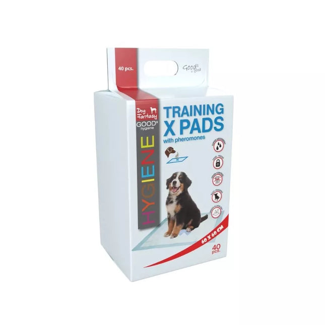 Vienkartinės palos su feromonais 60x60 cm (40 vnt.)