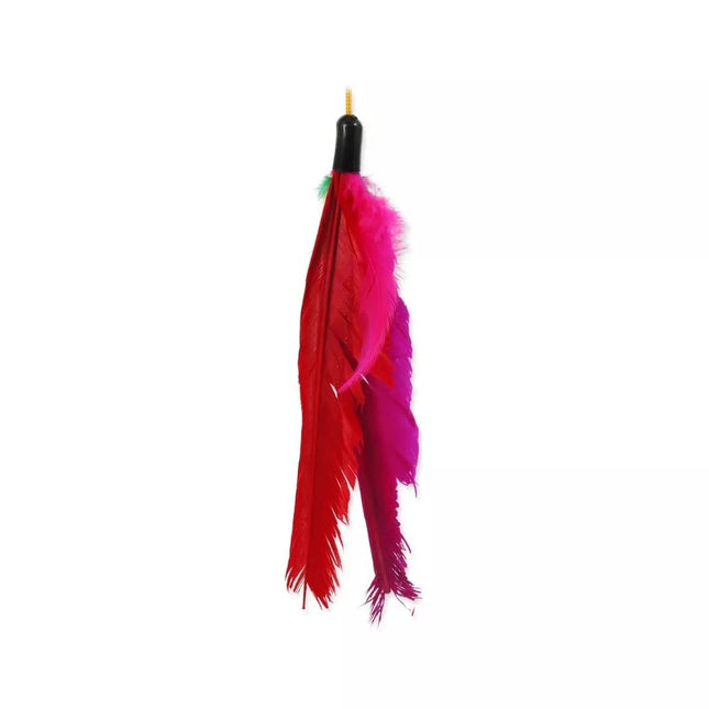 Žaislas katėms meškerė su plunksna Magic Cat, 45 cm
